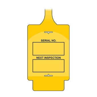 picture of AssetTag Flex - Inspection 1 - Pack of 10 - Yellow - [CI-TGF0110Y]