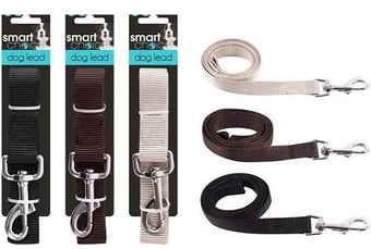 Picture of Smart Choice Medium Dog Lead Assorted Colours 1.2m - [PD-SC640]