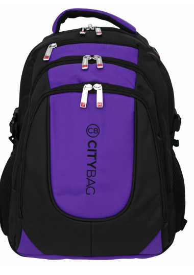 picture of Laptop Backpack - Waterproof - 20 x 45 x 20cm - Purple - [TI-BB801-BP]  