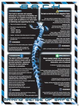 Picture of Back Protection Poster - 600 x 800Hmm - Encapsulated - [AS-MSS5]