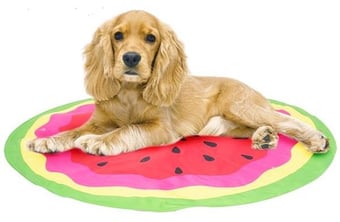 Picture of Smart Choice Summer Round Pet Cooling Mat 60cm Assorted - [PD-SC1385]