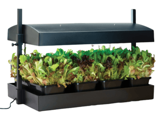 picture of Grow Light Gardens & Lights