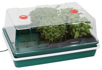 picture of Heated Propagation