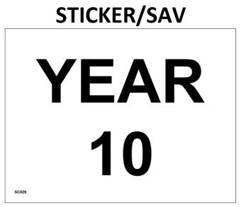 picture of SC029 Year 10 Area Door Wall Plaque Sign Sticker/Sav - PWD-SC029-SAV - (LP)