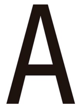 picture of All Black Letter Vinyl