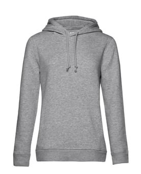 picture of Grey Hoodies