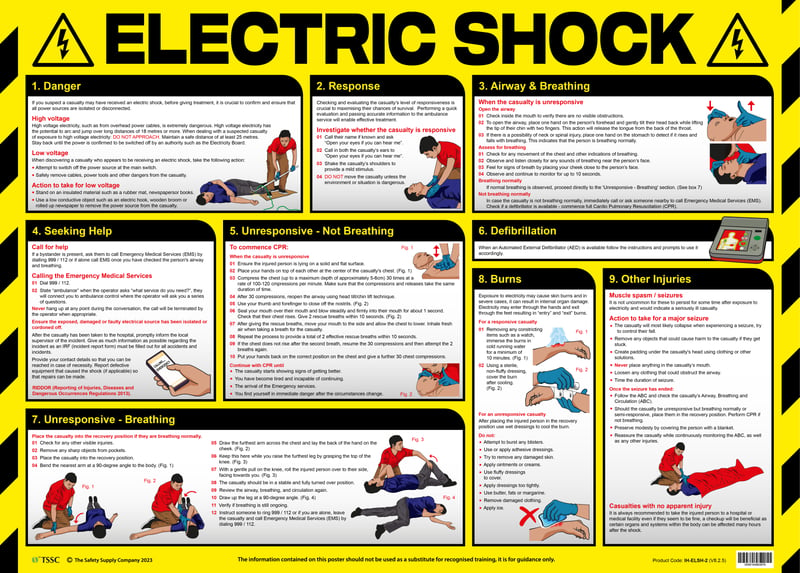 Electric Shock Poster Laminated - 590 x 423mm - [IH-ELSH-2]