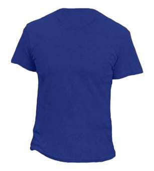 Picture of Casual Classics Cotton Royal Blue T-Shirt Classic 150 - AP-CR1500ROY