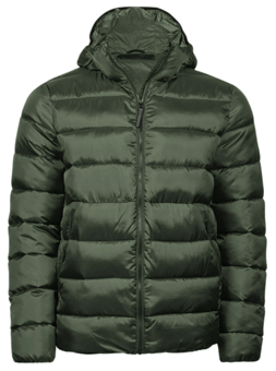 Picture of Tee Jays Unisex Lite Hooded Jacket - Deep Green - BT-TJ9646-DPG