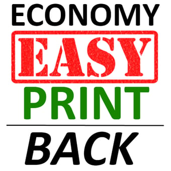 picture of Economy EasyPrint™ - BACK PRINT - Print on any Hi Vis garment - Minimum of 12 Prints - Garment Not Included - [IH-EPBP]