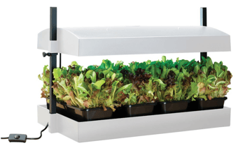 picture of Garland Grow Light Garden LED White - [GRL-G262W]