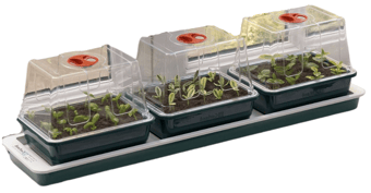 picture of Garland Trio Top Electric Windowsill Propagator - [GRL-G50] - (LP)