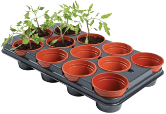 Picture of Garland Professional Growing Tray - 12 x 11cm Pots - [GRL-W0058]