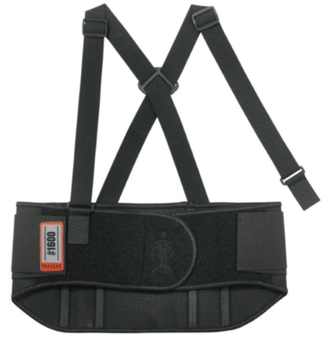 picture of Ergodyne ProFlex 1600 Standard Elastic Back Support - BE-EY1600