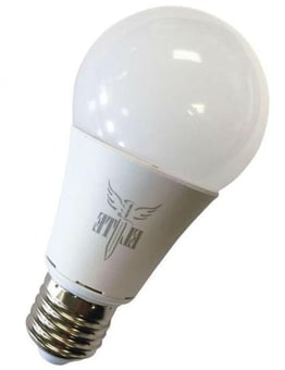 picture of Light Bulbs