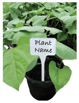 picture of Plant Labels