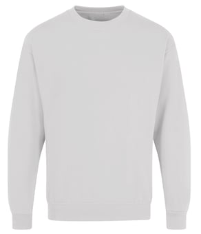 picture of UCC Everyday Sweatshirt - White - BT-UCC011-WHI