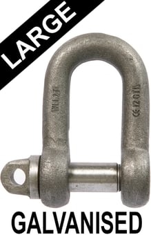 picture of Galvanised Large Dee Shackles c/w Type A