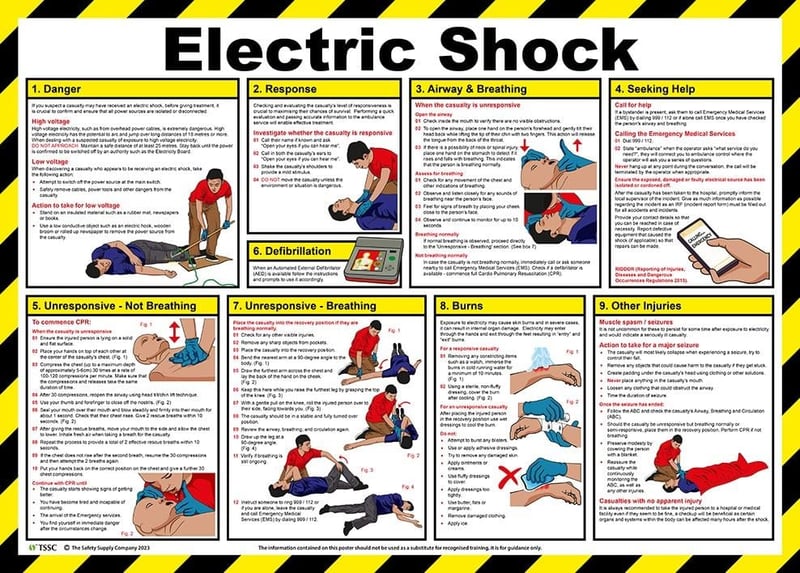 Electric Shock Poster Laminated - 590 x 423mm - [IH-ELSH]