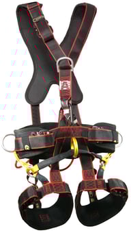 picture of Arboriculture Working at Height