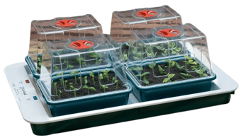 Picture of Garland 4 Top Automatic Temperature Control Electric Propagator - [GRL-G163]