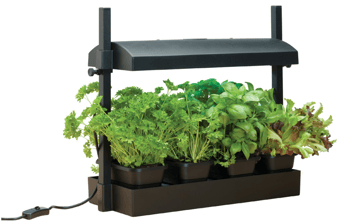 picture of Garland Micro Grow Light Garden Black - [GRL-G187B]