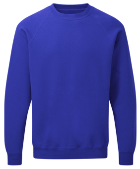 picture of SG Men's Royal Blue Raglan Sleeve Crew Neck Sweatshirt - BT-SG23-ROY - (DISC-R)