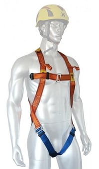 Picture of Aresta - Single Point Safety Harness with Standard Buckles - [XE-AR-01011S]