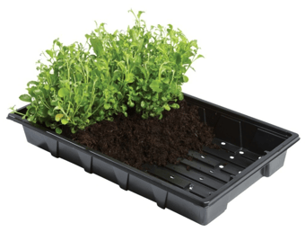 picture of Garland Professional Seed Trays - Pack of 5 - [GRL-W0002]