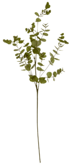 Picture of Fiori Eucalyptus Spray Green - [PRMH-BU-X2907X005]