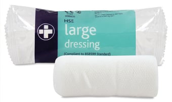 Picture of HSE Large Dressing - 18cm x 18cm - Sterile - Pack of 10 - [RL-317-10]