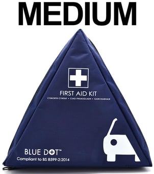picture of Blue Dot - Medium Vehicle First Aid Kit In Soft Triangular Shaped Pouch -[CM-300005M]