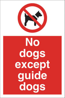 picture of No Dogs Except Guide Dogs Sign - 200 x 300Hmm - Rigid Plastic - [AS-PR83-RP]