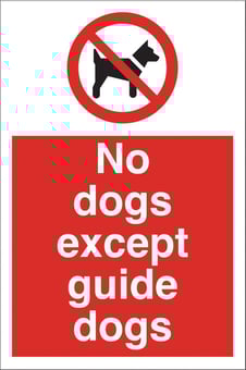 picture of No Dogs Except Guide Dogs Sign - 200 x 300Hmm - Rigid Plastic - [AS-PR83-RP]