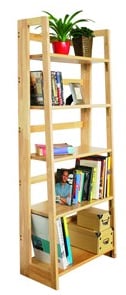 picture of Book Shelves