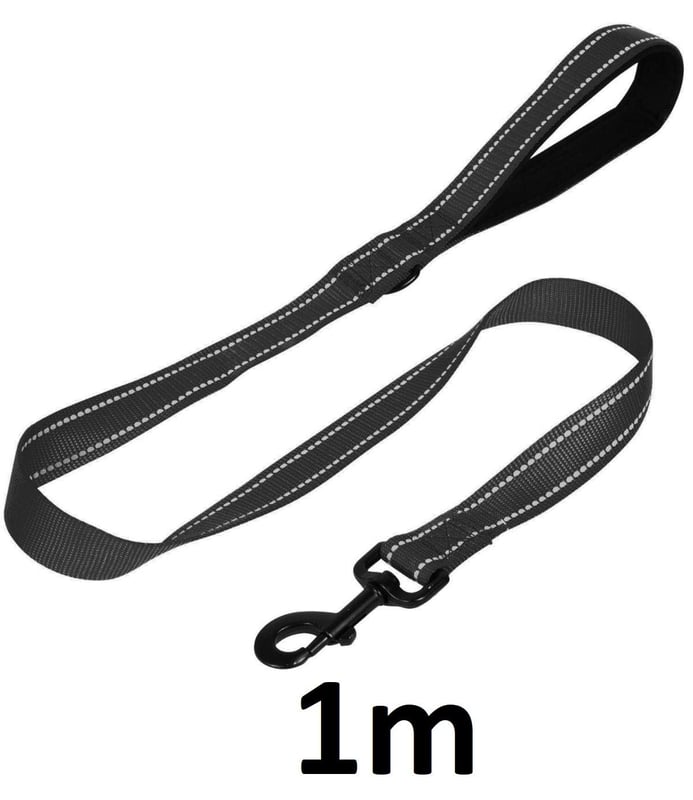 picture of Proudpet Dog Lead - 1m Black - [TKB-DGL-AA-1M-BLK]