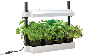 Picture of Garland Micro Grow Light Garden LED White - [GRL-G263W]