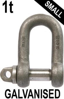 Picture of 1t WLL Galvanised Small Dee Shackle c/w Type A Screw Collar Pin - 1/2" X 5/8"- [GT-HTSDG1]