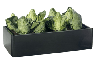 Picture of Garland Mini Grow Bed - [GRL-G108]