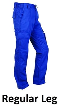 picture of Iconic Bullet Combat Trousers Women's Royal Regular Leg 29 Inch - BR-H843-R