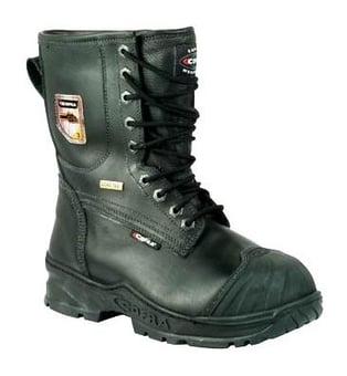 picture of Chainsaw Protection