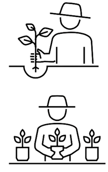 picture of Home Gardening.