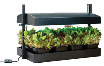 picture of Garland Grow Light Garden Black - [GRL-G139B] - (LP) - (DISC-R)