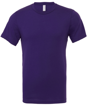 Picture of Bella Canvas Unisex Jersey Short Sleeve T-Shirt - Team Purple - BT-CA3001-TEAMPRPL