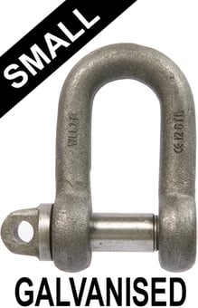 picture of Galvanised Small Dee Shackles c/w Type A