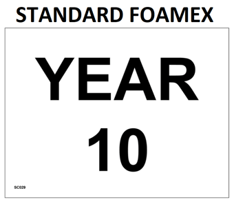 picture of SC029 Year 10 Area Door Wall Plaque Sign 3mm Standard Foamex - PWD-SC029-FOAM - (LP)