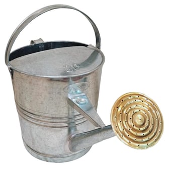 Picture of ProSolve Galvanised Watering Can 9L c/w Brass Rose - [PV-PVGALVWC9]