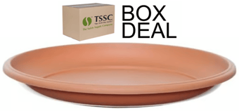picture of Whitefurze 34cm Milano Saucer - Terracotta - Box Deal of 10 - [IH-WHFG01RS303]