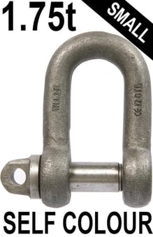 picture of 1.75t WLL Self Colour Small Dee Shackle c/w Type A Screw Collar Pin - 5/8" X 3/4" - [GT-HTSDSC1.75] - (HP)
