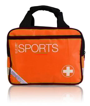 picture of First Aid and Fire Bags